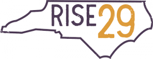 RISE29 logo